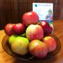 Jabłka dla Pacjentów w Instytucie Leczenia Zeza